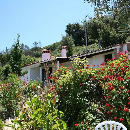 Casa Marianta Monchique