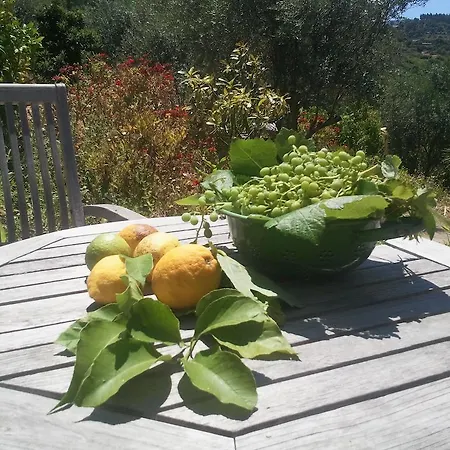 Holiday home Casa Marianta *