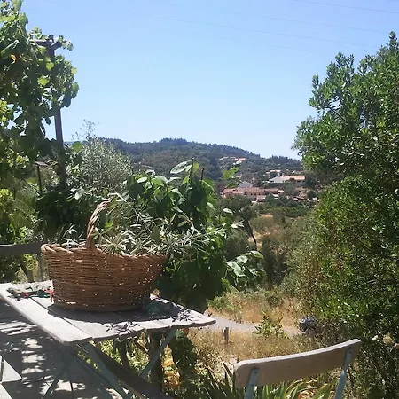 Casa Marianta Holiday home Monchique